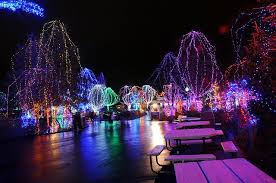 Columbus Zoo Wildlights 7 Columbus Zoo Christmas Scenery The Buckeye State