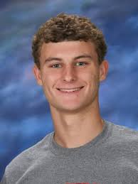 Meet the Battle Creek Enquirer 2017 All-Area Baseball Team