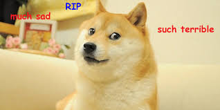 Doge meme wallpaper (85+ images). Doge 1080x1080 Fresh The Doge You Ve Been Waiting For Inspiration Left Of The Hudson