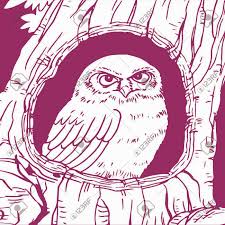 Maybe you would like to learn more about one of these? Owl Stay Insdie Tree Hole Home Line Drawing Royalty Free Cliparts Vectors And Stock Illustration Image 143066373