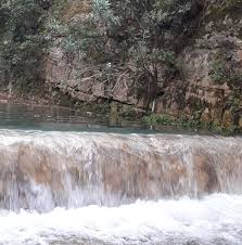 مطعم النيلين البخاري طريق الدمام