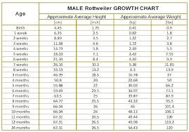 Weight Children Girls Online Charts Collection