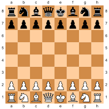 This must be done immediately after the pawn has made its double move. How To Play Chess A Reference For Novices And Veterans John Jackson