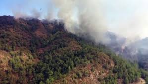 Wildfires have damaged out in close by greece and italy, however turkey has been hit arduous with practically 235,000 acres burned. 2jjqka7icy9w M