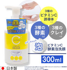 酵素洗顔料 泡タイプ ビタミンC誘導体 酵素泡洗顔 300ml ビタミンＣ 柑橘系の香り 毛穴ケア 日本製
