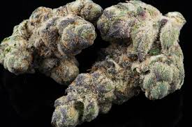 Cookies los angeles in maywood, . Mystical Cookies The Herbal Cure Denver S Premier Cannabis Dispensary Simply The Best