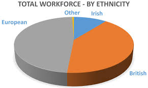 diversity brogan group