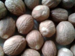 Its suitable climatic conditions permit the tree to grow as an intercrop in the state. Nutmeg Cultivation Commodity Export Indonesia Commodity