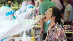 Sáng nay giá tiêu ổn định ở các tỉnh đông nam bộ, giảm nhẹ 500 đồng/kg tại các tỉnh tây ng. Ypvrcsbu8a Kbm