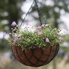Coconut coir as a basket liner also makes it easier for plants to receive oxygen thanks to its porous nature. Using Coconut Coir Products In The Garden What You Need To Know