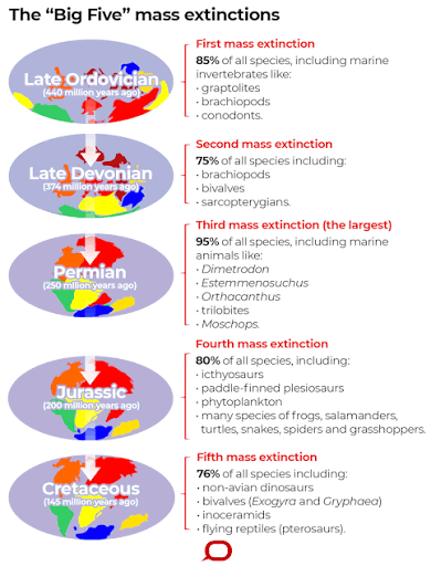 What is a 'mass extinction' and are we in one now?