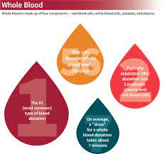 Just like donating blood, platelet donors will want to get a good night's sleep on the night leading up to. Types Of Blood Donations Stanford Blood Center