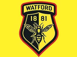 Discover the latest news for watford fc. Watford Badge Hornets Opt Against New Crest After 4 000 New Designs The Independent The Independent