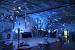Simple Winter Ball Decorations