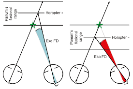 Image result for Visual Fixation