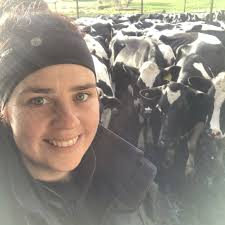 South-west Victorian dairy farmer Katrina McRae adopts automated heat and  health monitoring collars