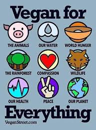 Maybe you would like to learn more about one of these? Aussie Vegan Vids Home Facebook