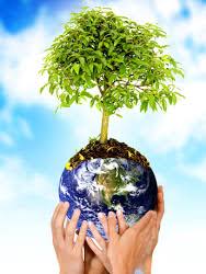 Resultado de imagen para DERECHO AMBIENTAL