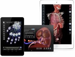 This app is being offered free to demonstrate the groundbreaking 3d technology and innovative design inherent in 3d4medical's new range of apps. Essential Anatomy 3 V1 1 3 Apk Data Apkblog Cc
