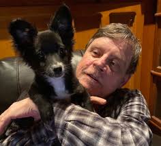 Mark Hamill: "When following the headlines fills me with despair, it's  comforting to cuddle with a family member who remains blissfully  unconcerned about fascism. That would be Trixie (a/k/a Bat-Mite)." — Bluesky