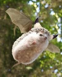 Nergigante Cute Little Animals Hedgehog Pet Monster Hunter Art