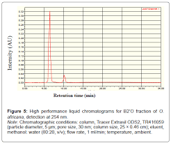 Image result for Oreosyce africana