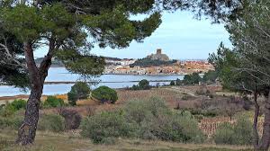 A narbonne plage aujourd hui, journée de plage ensoleillée avec un peu de vent. Gruissan Wikipedia