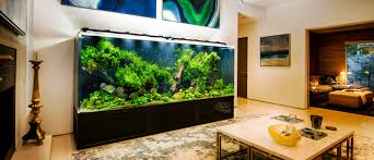 Pin By Gawtham Selvakumar On Aquariums In 2020 Aquarium Design Design Aquarium