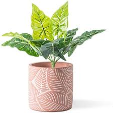 Shop indoor and outdoor plant holders such as hanging pots, rail planters and more. Amazon Com Domdo Cement Planter Pot 5 5 Inches Vintage Indoor Flowerpot Plants Containers Unglazed Medium Bonsai Concrete Clay With Drainage Hole Leaf Embossment Pink Garden Outdoor