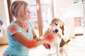 But the longer i live there the more i like it. How To Take Care Of Your Dog Or Cat When You Have Arthritis