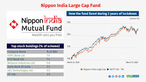 Which Mutual Fund Offers The Most Return Over The Last 10-20 Years? - Quora