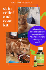 Skin Relief And Coat Health Kit Cat Skin Problems Skin Allergies Skin Relief