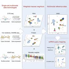 Cell structure & function 7.1 life is cellular think about it what?s the smallest part of any living thing that still counts as being ?alive?? Integrated Analysis Of Multimodal Single Cell Data Sciencedirect