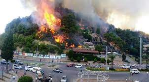 Öyle ki yangın çıkan alanda yapılan otel hizmete girdi. Ormanlar Rant Icin Mi Yakiliyor Son Dakika Haberleri