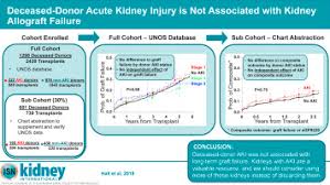 Deceased Donor Acute Kidney Injury Is Not Associated With