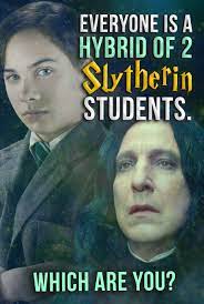 Quiz Everyone Is A Hybrid Of Two Slytherin Students Which Are You Harry Potter Personality Slytherin Students Harry Potter Personality Quiz