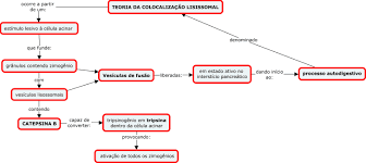 O pâncreas é uma grande glândula localizada na parte superior do abdômen, atrás do estômago. Mapa Fisiopatologia Pancreatite Aguda Gastroenterologia