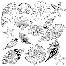 Die muscheln unter fließendem, kaltem wasser gut abbürsten. Vector Set Muscheln Zentangle Muscheln Fur Erwachsene Anti Stress Malvorlagen Gemusterte Seemuschel Illustration Fur Tatowierungen Mit Hohen Details Hand Gezeichnete Skizze Kunstlerisch Dekorative Henna Druck Fur T Shirt Tasche Stoff Lizenzfrei