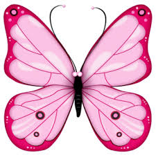 Download 1,036 butterfly png images with transparent background. Butterflies Png Butterflies Transparent Background Freeiconspng