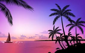You can also upload and share your favorite aesthetic pink horizontal wallpapers. Pink Tropical Beach Wallpapers Top Free Pink Tropical Beach Backgrounds Wallpaperaccess