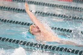 Franz Mueller Men S Swimming Diving Wayne State University Athletics