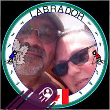 Flight path of jets from 14 Wing Greenwood?