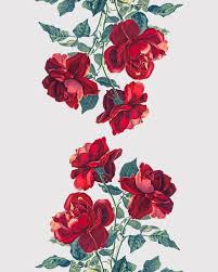 Cute Valentines Day Wallpaper Tumblr Here are only the best funny valentine wallpapers. cute valentines day wallpaper tumblr