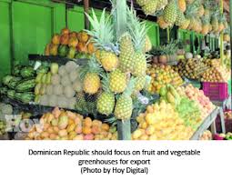 We offer services adapted to the specific needs of our businnes customers. Dominican Republic Fruits Agriculture Exports Can Double Tfnet International Tropical Fruits Network