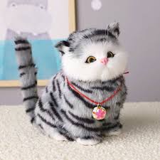 Beberapa hasil pengambilan gambar juga memperlihatkan gambar atau video tingkah kucing yang melakukan sesuatu seperti manusia. Gambar Kucing Comel Gebu