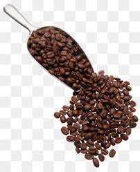Coffee Bean Png Coffee Bean Cup Coffee Bean Border Cleanpng Kisspng Coffee beans png images for free download: coffee bean png coffee bean cup