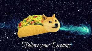 Taco Doge Follow Your Dreams Doge Doge Meme Amusing