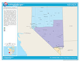 2020 Nevada Elections Candidates Races And Voting