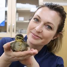 The Pets Factor Series 4