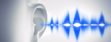 Tinnitus Seminar Mass Eye And Ear